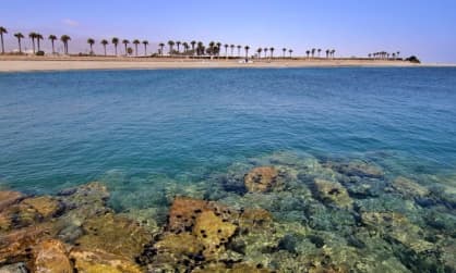 Playa del Censo (Adra - Almería)