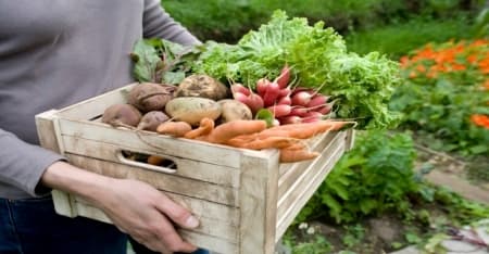 Caja de verdura ecológica