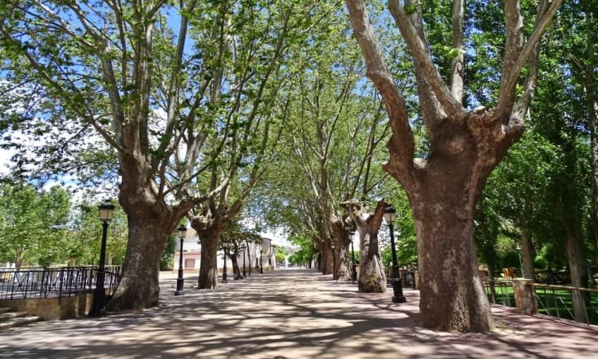 The Paseo of Chirivel