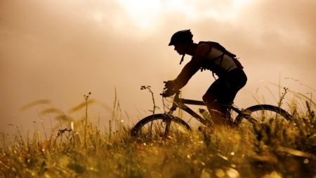 Cycling tourism