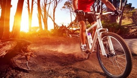Cycling tourism